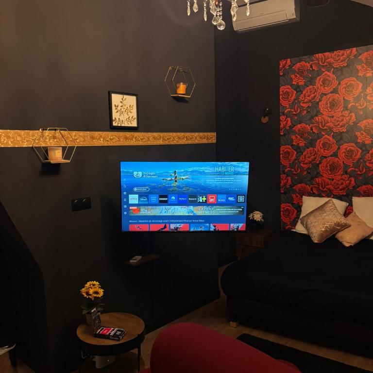 Love room Narbonnaise - Appartement 1 Chambre - 8