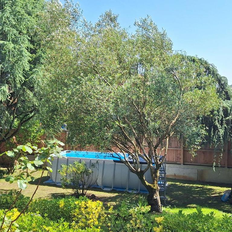 La Tourelle, demeure de charme, piscine, billard, grand jardin - Villa Supérieure - 6