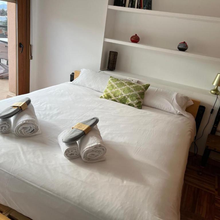Apartamento Puigcerdà ideal familias - Appartement 3 Chambres - 21