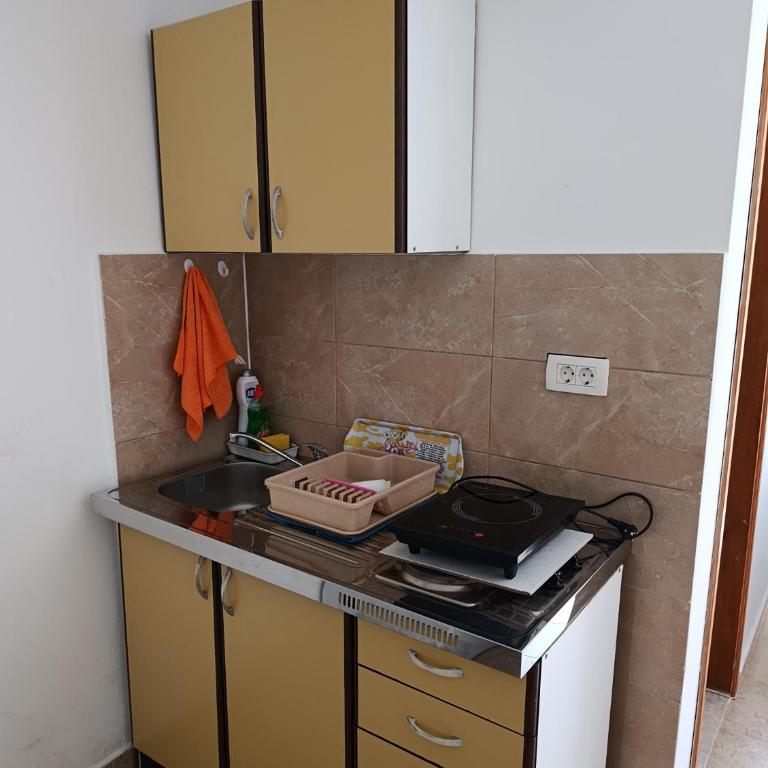 Milica Studio apartman - One-Bedroom Apartment - 8