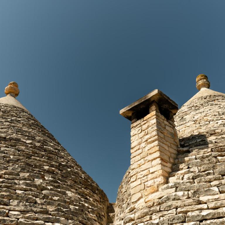 Trullo Ape Regina by MONHOLIDAY - Villa Deluxe - 10