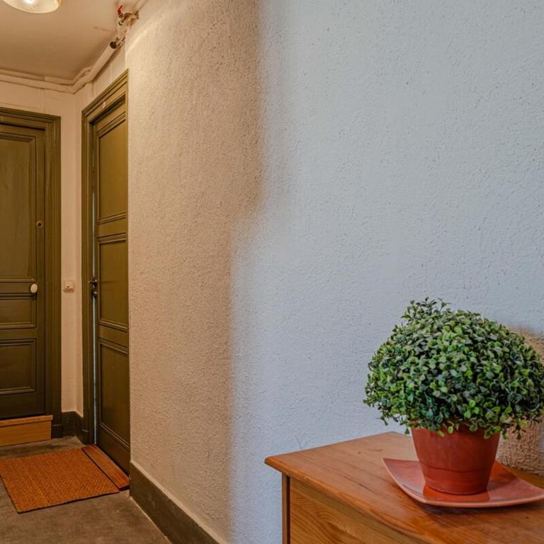 Pluton - Appartement 1 Chambre - 31