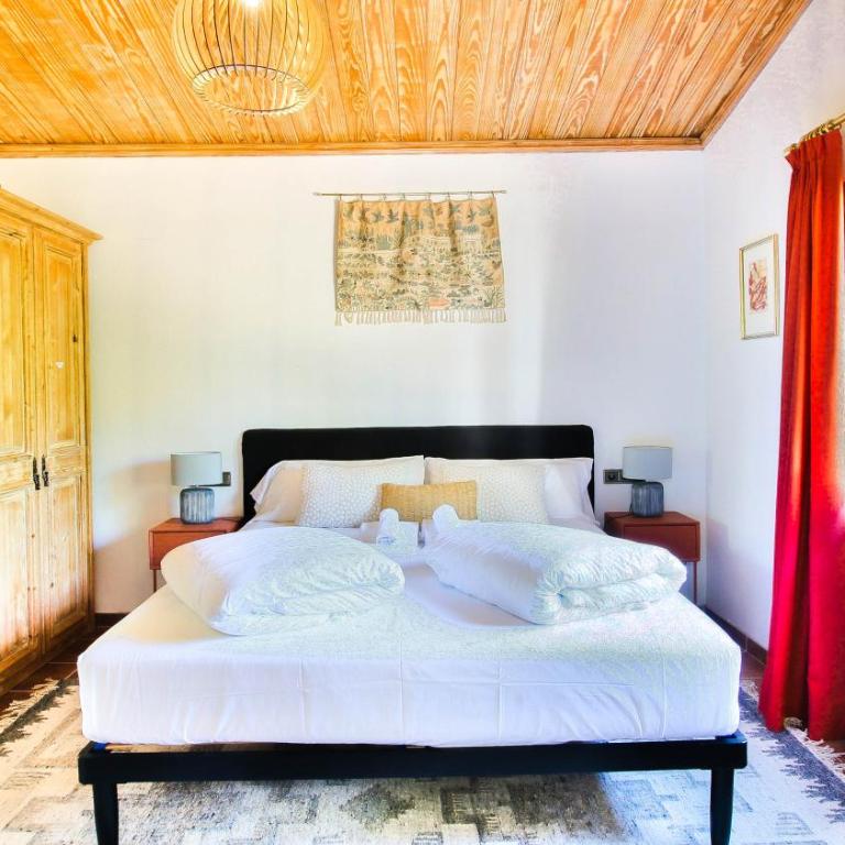 Santa Lucia BA by CARLOSFERIEN - Villa con piscina privada - 34