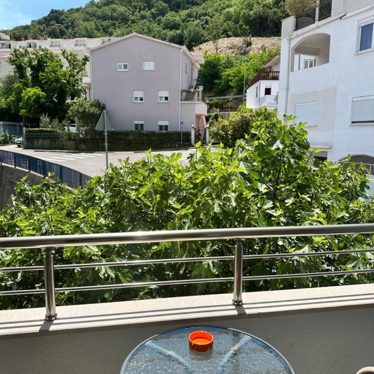 Apartments Manojlovic - Studio sa 2 Zasebna Kreveta - 1