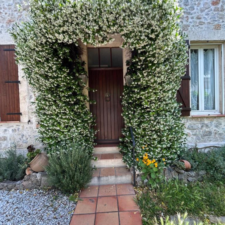 Le Mas provençal de Cannes Studio avec jardin plage et centre à pied - Studio - 15