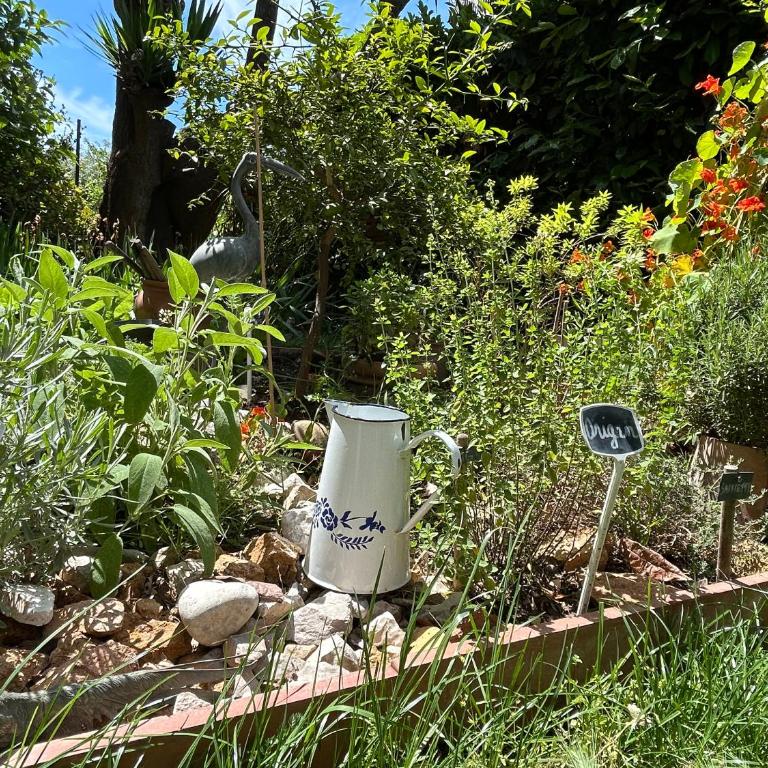 Le Mas provençal de Cannes Studio avec jardin plage et centre à pied - Studio - 19