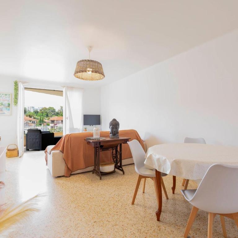 Center of Antibes spacious two-bedroom apartment with terrace and AC - Apartment - 1