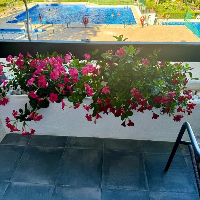 La Carolina Marbella Pool View Studio - Loft - 25