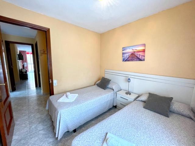 Edimar Aloturin Benidorm - Apartamento de 3 dormitorios - 3