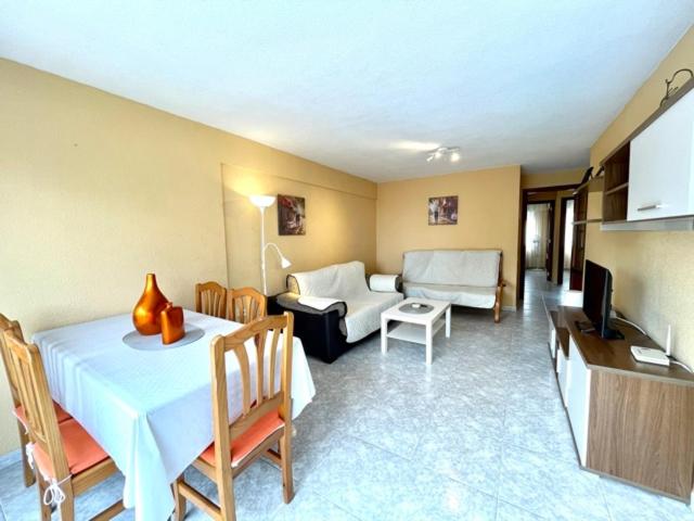 Edimar Aloturin Benidorm - Apartamento de 3 dormitorios - 8