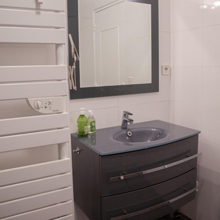 Spacieux Appartement Vue Pins-Tout à Pied-Résidence Le Manégore - Appartement 1 Chambre - 7