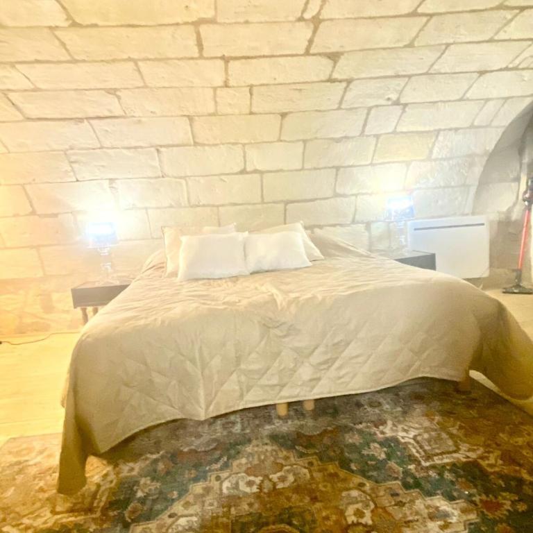 Historic Robin Quantin Tours Hyper-Center Place Plumereau - Apartamento de 1 dormitorio - 3