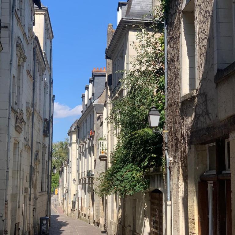 Historic Robin Quantin Tours Hyper-Center Place Plumereau - Apartamento de 1 dormitorio - 16