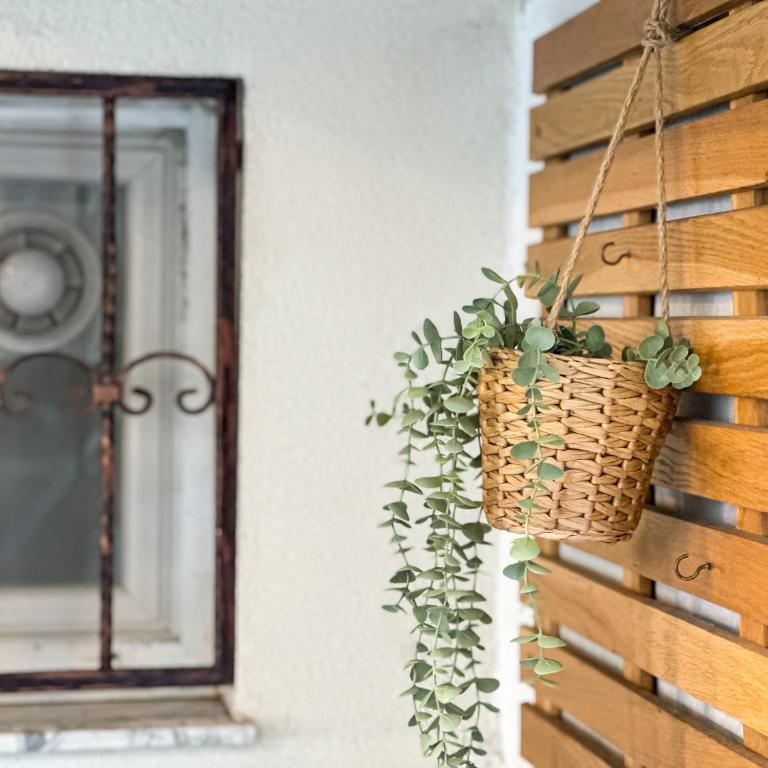 Apartman Lokum Free parking - Apartman - Prizemlje - 10