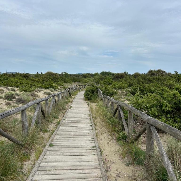 Viareggio -Il mio piccolo angolo di mare - Appartamento con 1 Camera da Letto - 16