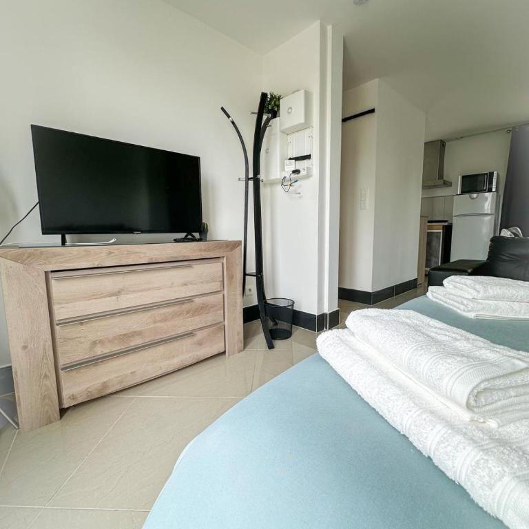 MikeS Amboise - Appartement 1 Chambre - 3
