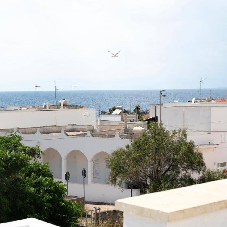 Villa with swimming pool a few meters from the sea - Vacation Home - 15