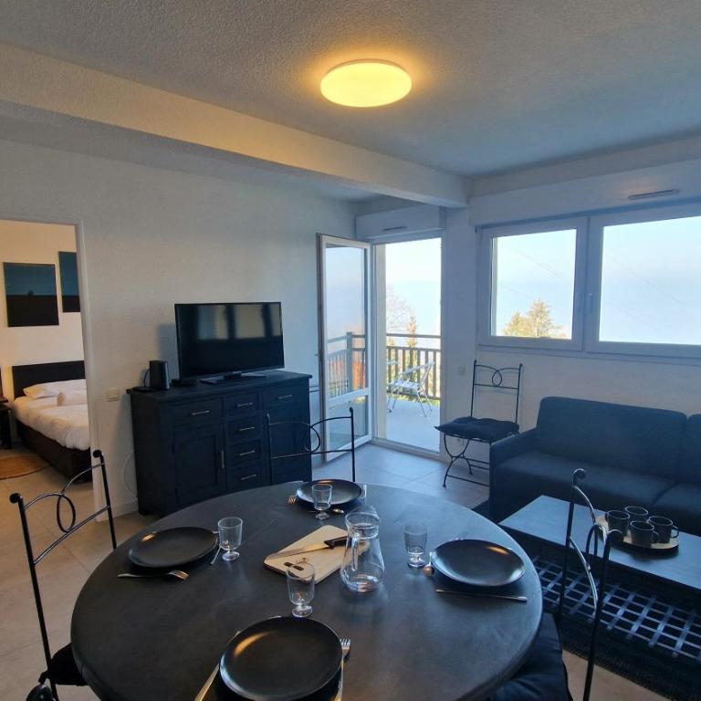 Appartement avec piscine Bleu du Lac - Appartement 2 Chambres - Vue sur Lac - 15