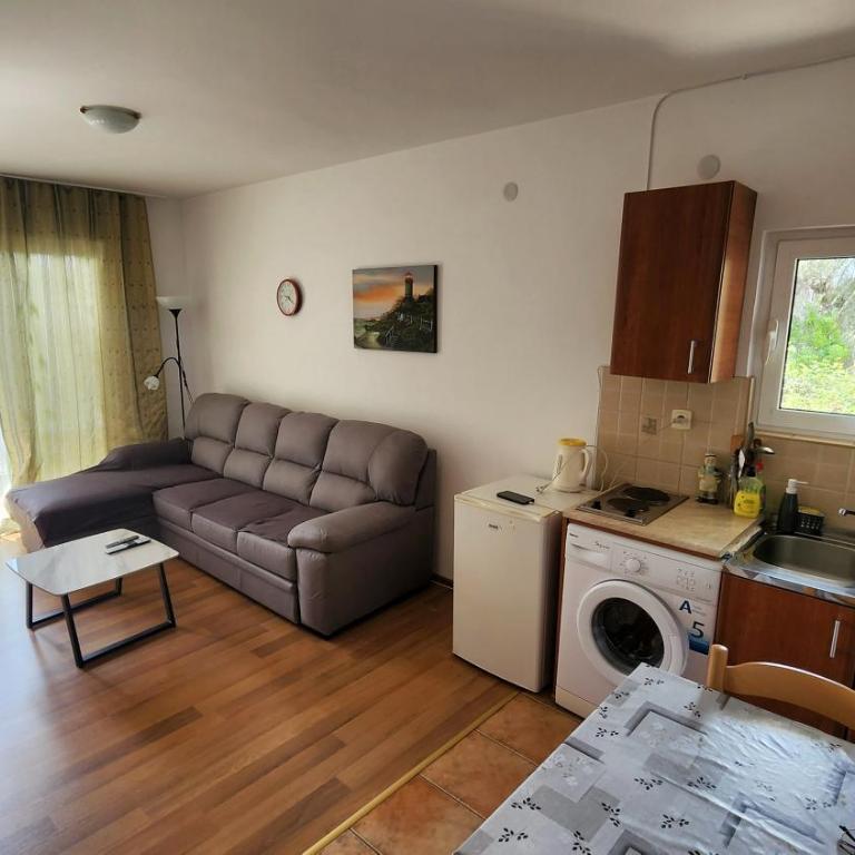 Montenegro, Bečići - One-Bedroom Apartment - 6