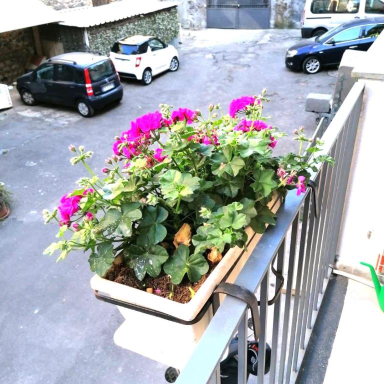 La casa di orlando 2 - Appartamento con 1 Camera da Letto - 13