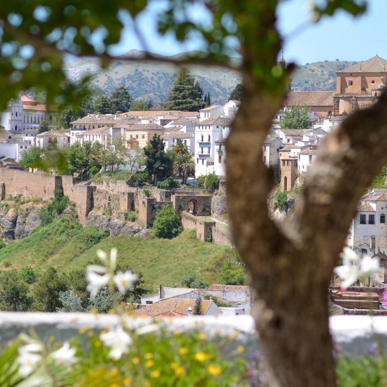 City Central Studio +Private Garden +Amazing View - Estudio con vistas a las montañas - 24