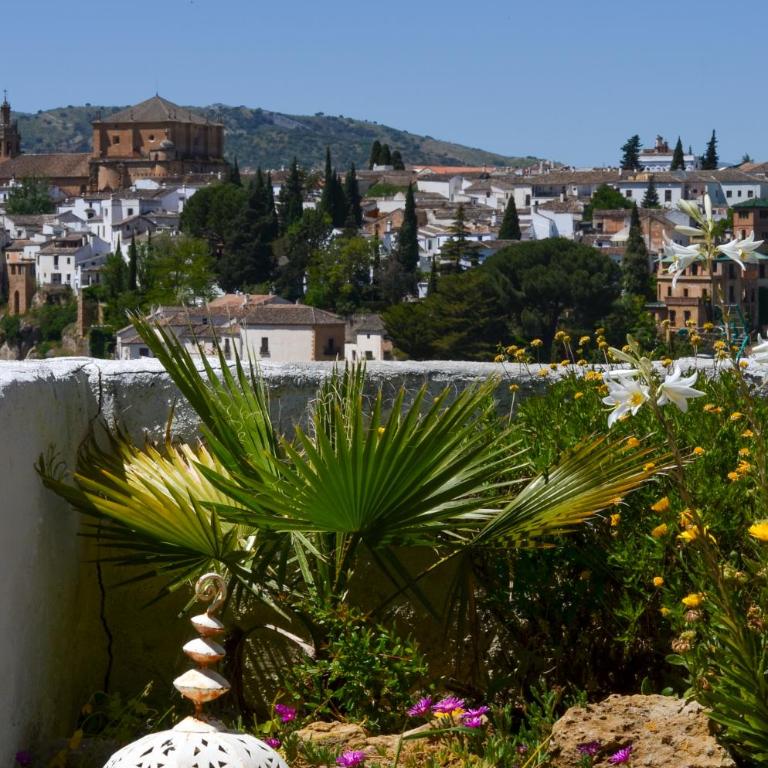 City Central Studio +Private Garden +Amazing View - Estudio con vistas a las montañas - 21
