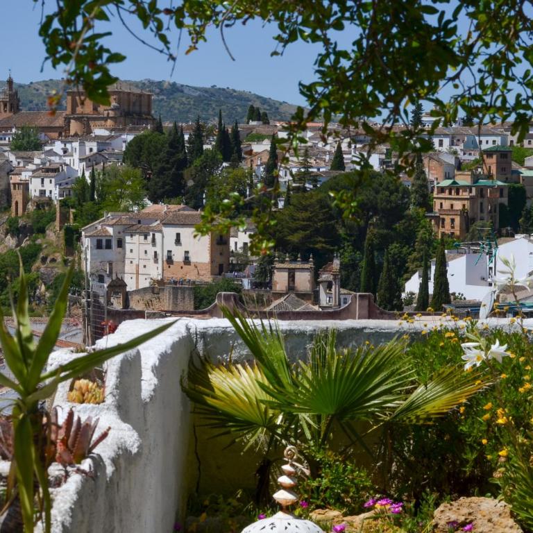 City Central Studio +Private Garden +Amazing View - Estudio con vistas a las montañas - 23