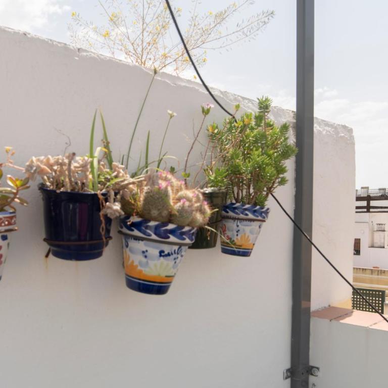 Alohamundi Chicarreros Catedral - One-Bedroom Apartment - 5