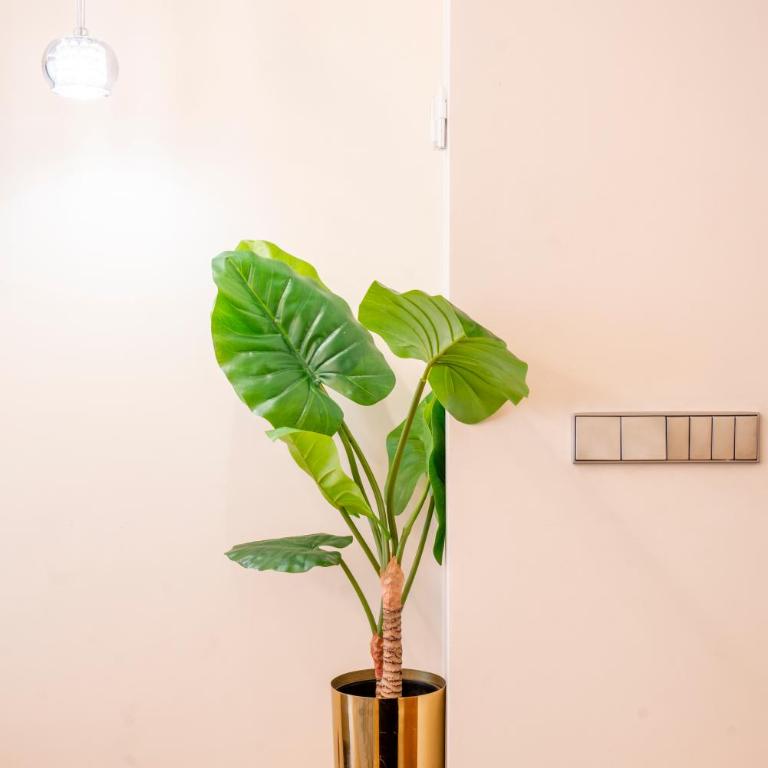 V73 Elegance & Comfort - Luxury in Barrio Salamanca - Apartment - 77