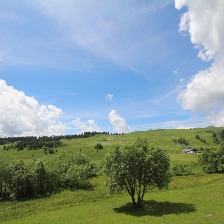 Studio cosy Les Saisies, 5 pers, balcon sud - Studio - 7