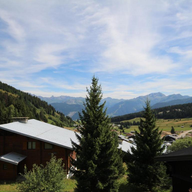 Les Saisies - Appartement rénové 5 pers, proche pistes - Appartement 1 Chambre - 10