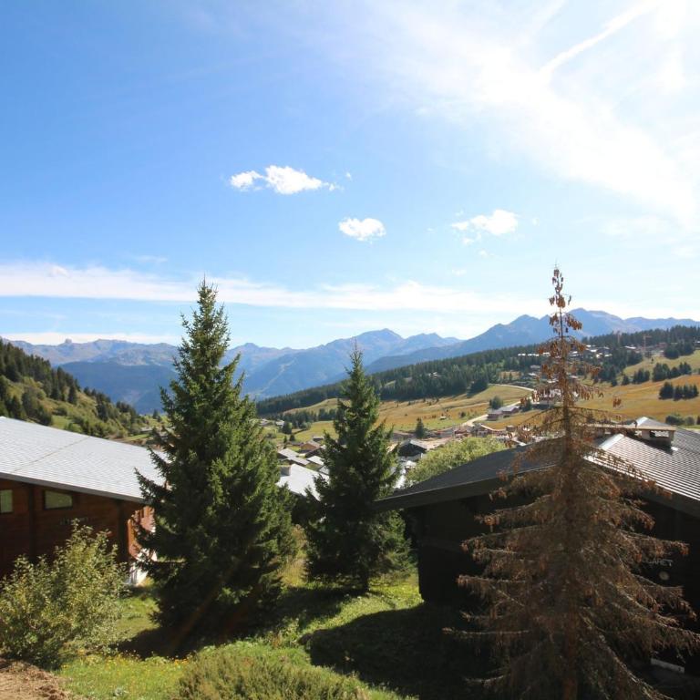 Les Saisies - Appartement rénové 5 pers, proche pistes - Appartement 1 Chambre - 14