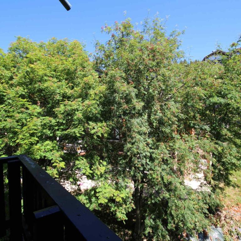 Studio cosy aux Saisies, 2 pers, balcon - FR-1-293-245 - Studio - 17