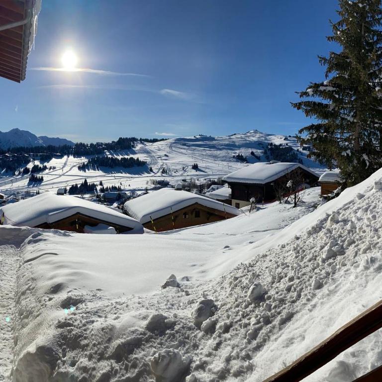 Bel appartement aux Saisies - 5 pers, vue sur pistes - Appartement 1 Chambre - 11