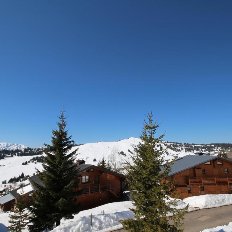 Appartement 1 étoile aux Saisies, 4 pers, vue pistes - Appartement 1 Chambre - 13