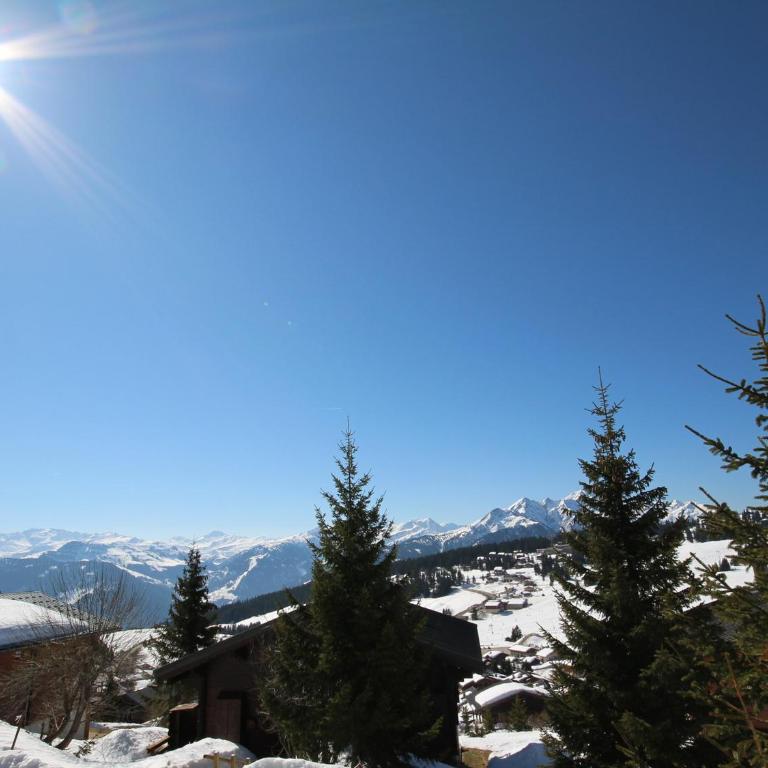 Appartement 1 étoile aux Saisies, 4 pers, vue pistes - Appartement 1 Chambre - 14