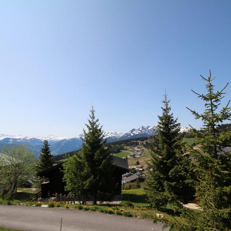 Appartement 1 étoile aux Saisies, 4 pers, vue pistes - Appartement 1 Chambre - 17