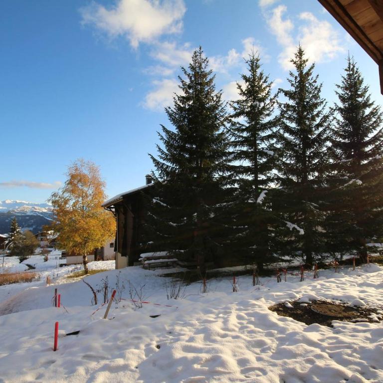 Appartement neuf 6 pers Les Saisies, terrasse, parking - FR-1-293-267 - Apartamento (6 adultos) - 13