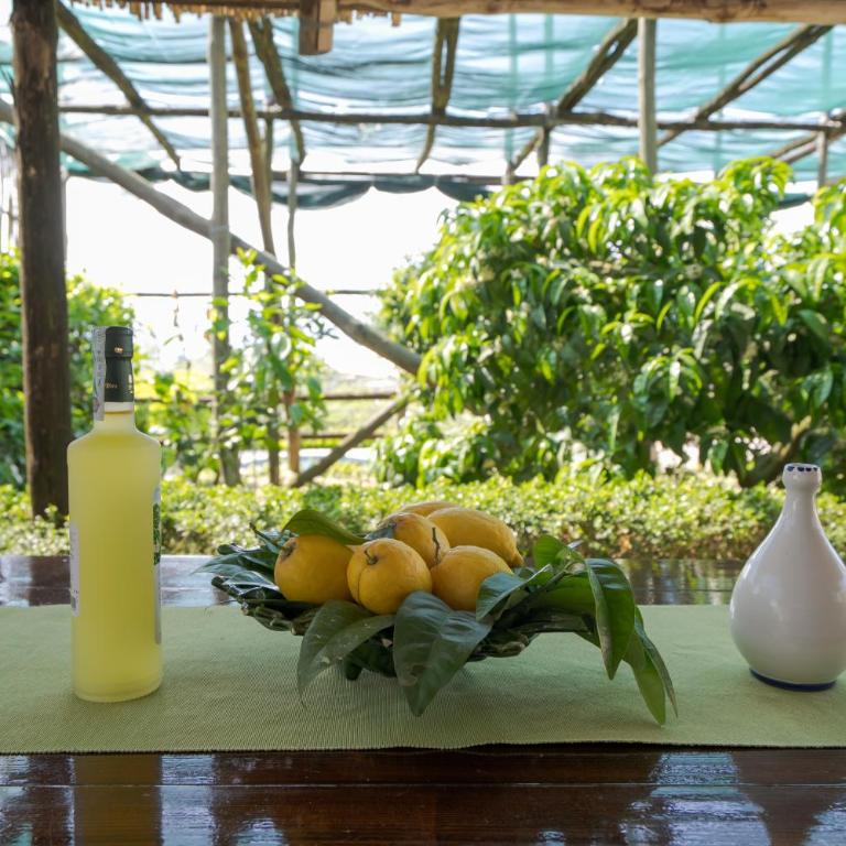 Villa Mimì between Sorrento and Positano - One-Bedroom Villa - 34