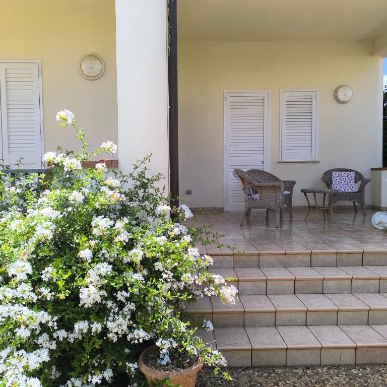 Villa Giacalone - Casa Vacanze - 5