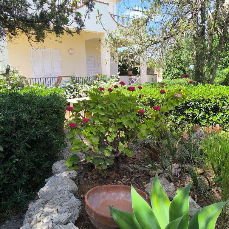 Villa Giacalone - Casa Vacanze - 6