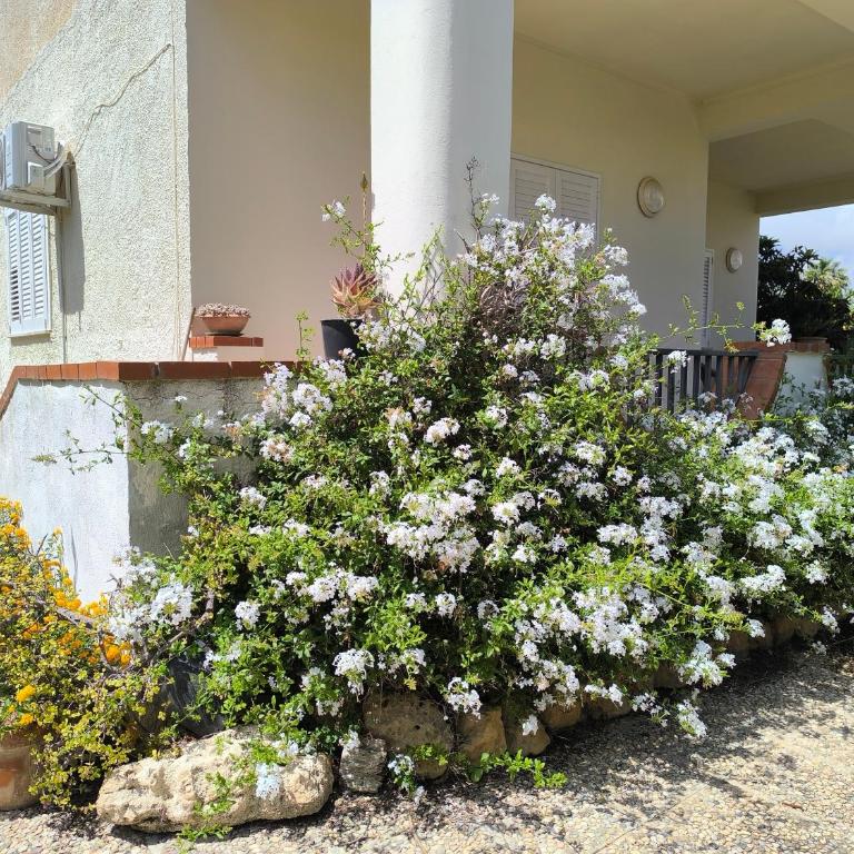 Villa Giacalone - Casa Vacanze - 15