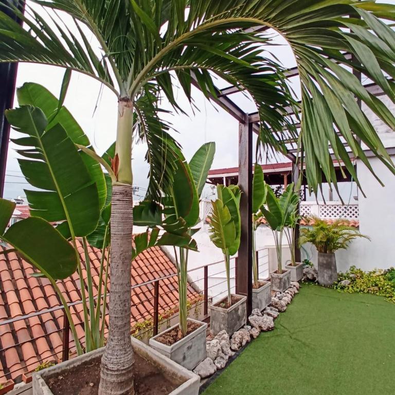 Hermoso apartamento con patio privado - One-Bedroom Apartment - 18