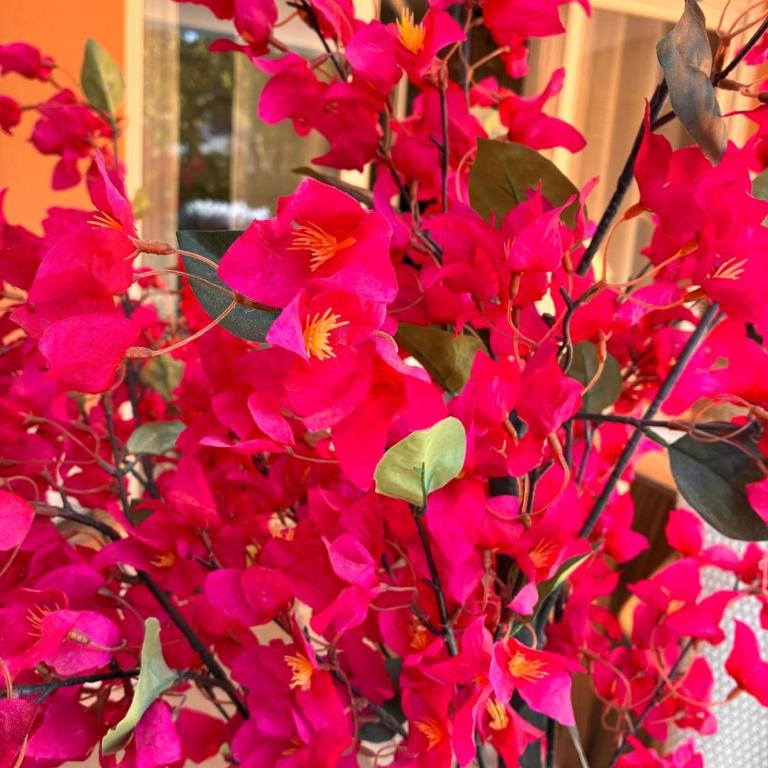 Le Bougainvillier - Apartment mit 2 Schlafzimmern mit Balkon und Terrasse - 35