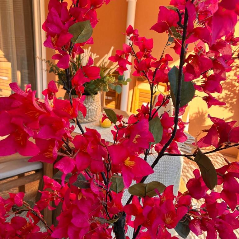Le Bougainvillier - Apartment mit 2 Schlafzimmern mit Balkon und Terrasse - 37