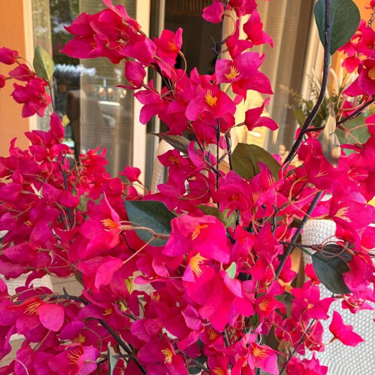 Le Bougainvillier - Apartment mit 2 Schlafzimmern mit Balkon und Terrasse - 38