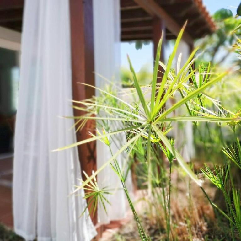 Los Porches D40 By Pride Holiday Rentals - Two-Bedroom Bungalow - 17