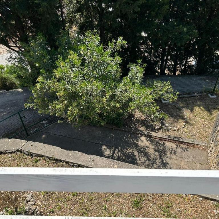 Prestige House - Vila sa 2 Spavaće Sobe - 19