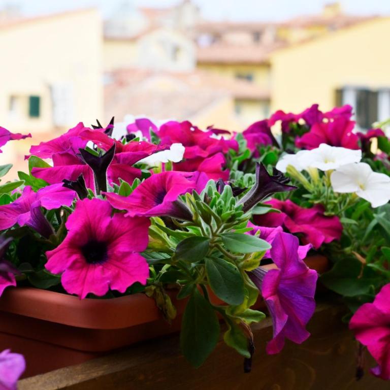 RELAIS DELL'USSERO Pisa centro - Camera King con Balcone - 21