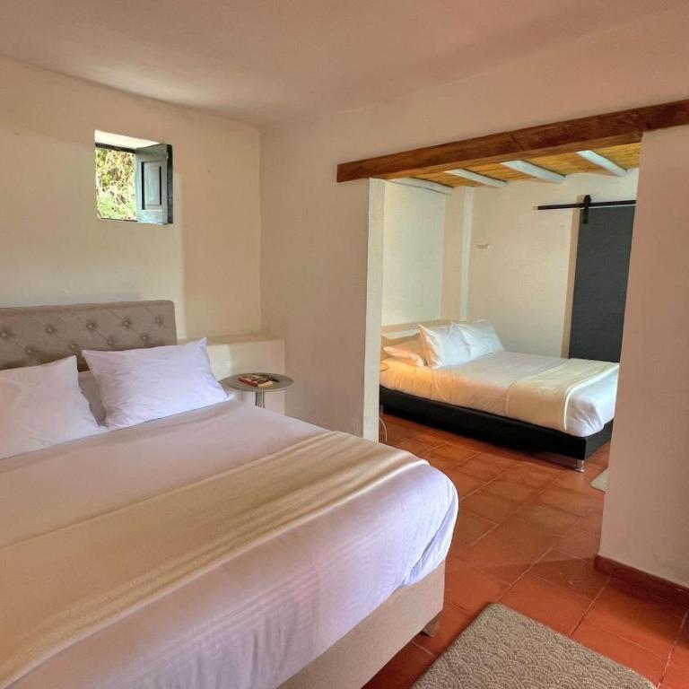 Hotel Casa Amalia - Family Room - 2